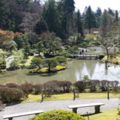 Seattle Arboretum Japanese Gardens